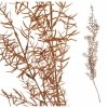 Roślina sztuczna - asparagus copper Aluro